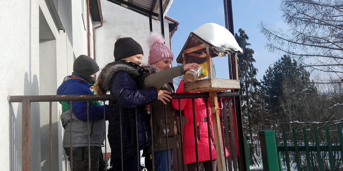 Dokarmiamy ptaki